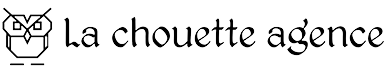 image représentant une chouette logo de l'entreprise la chouette agence